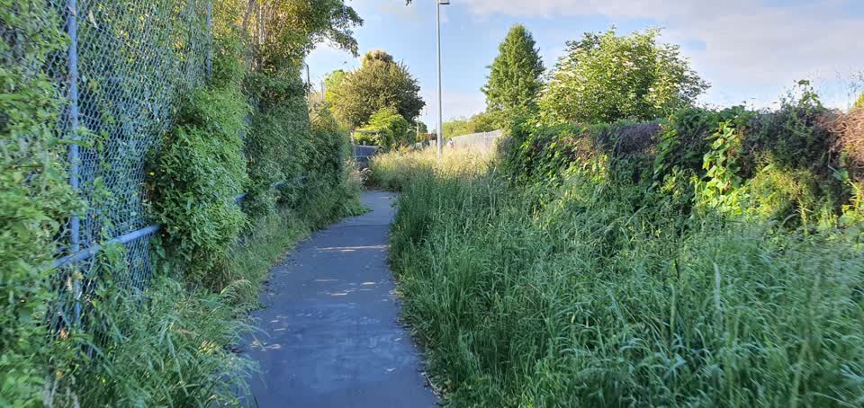 The photograph attached to this parks report