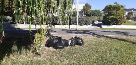 Rubbish/Recycling, a report photo