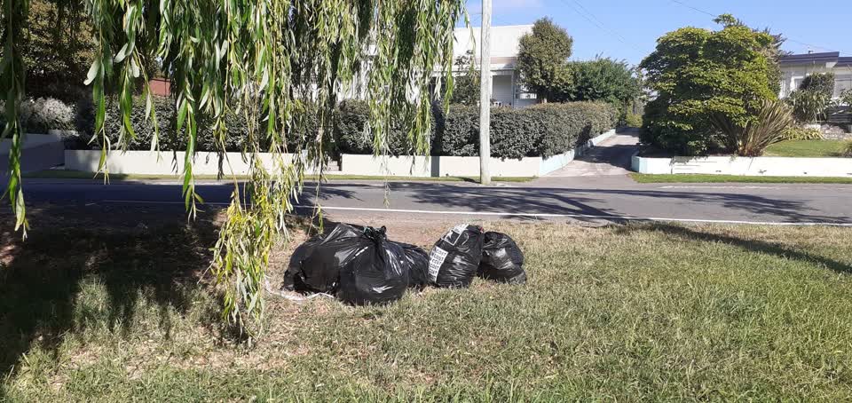 The photograph attached to this rubbish/recycling report