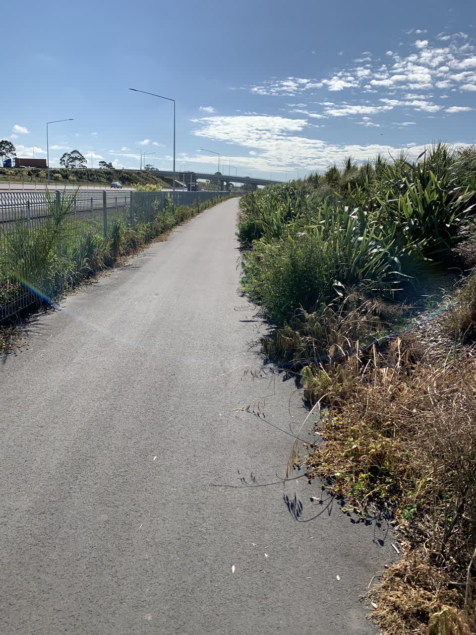 The photograph attached to this parks report