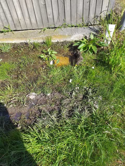 Water Leak, a report photo