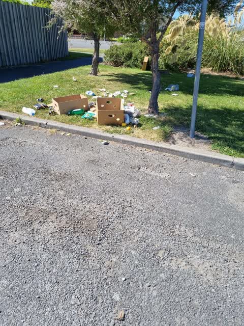 Rubbish/Recycling, a report photo