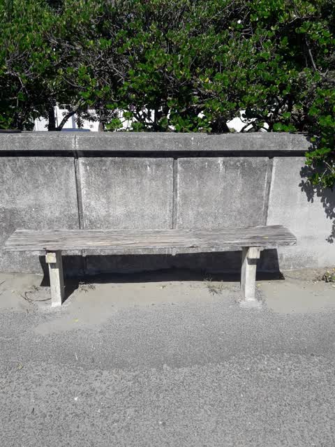 Parks, a report photo