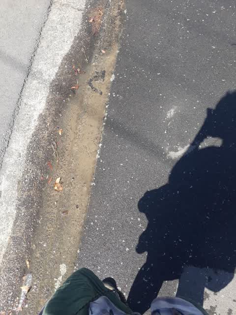 Water Leak, a report photo