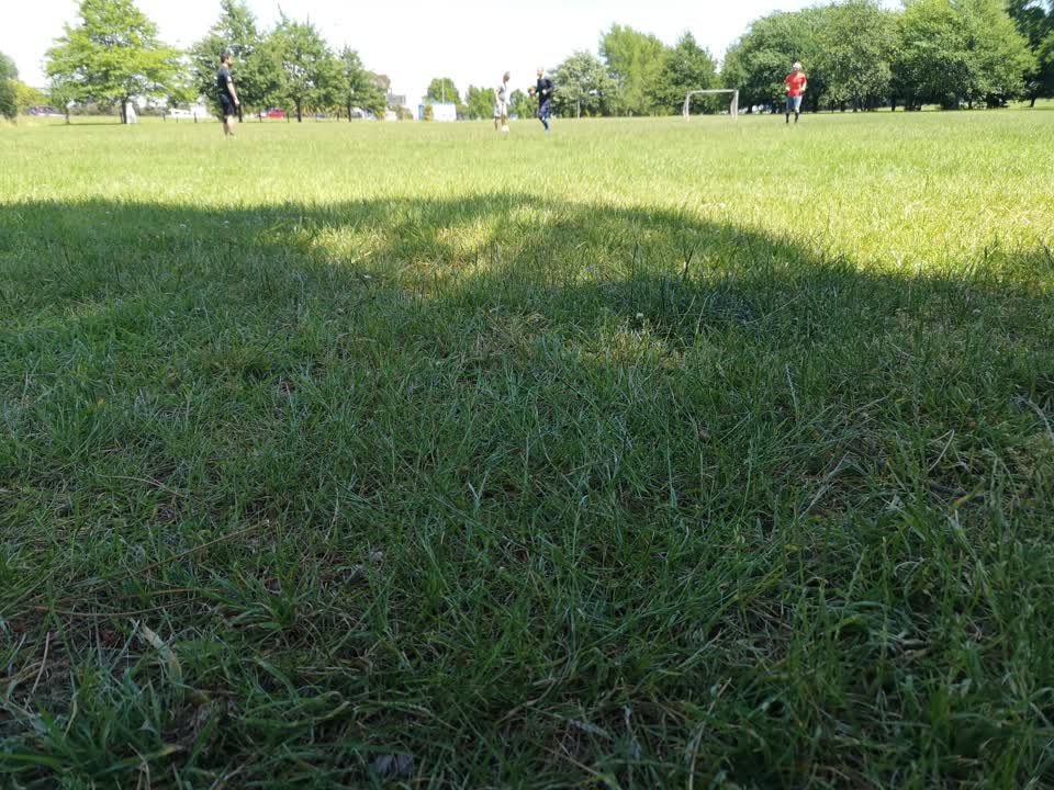 The photograph attached to this parks report