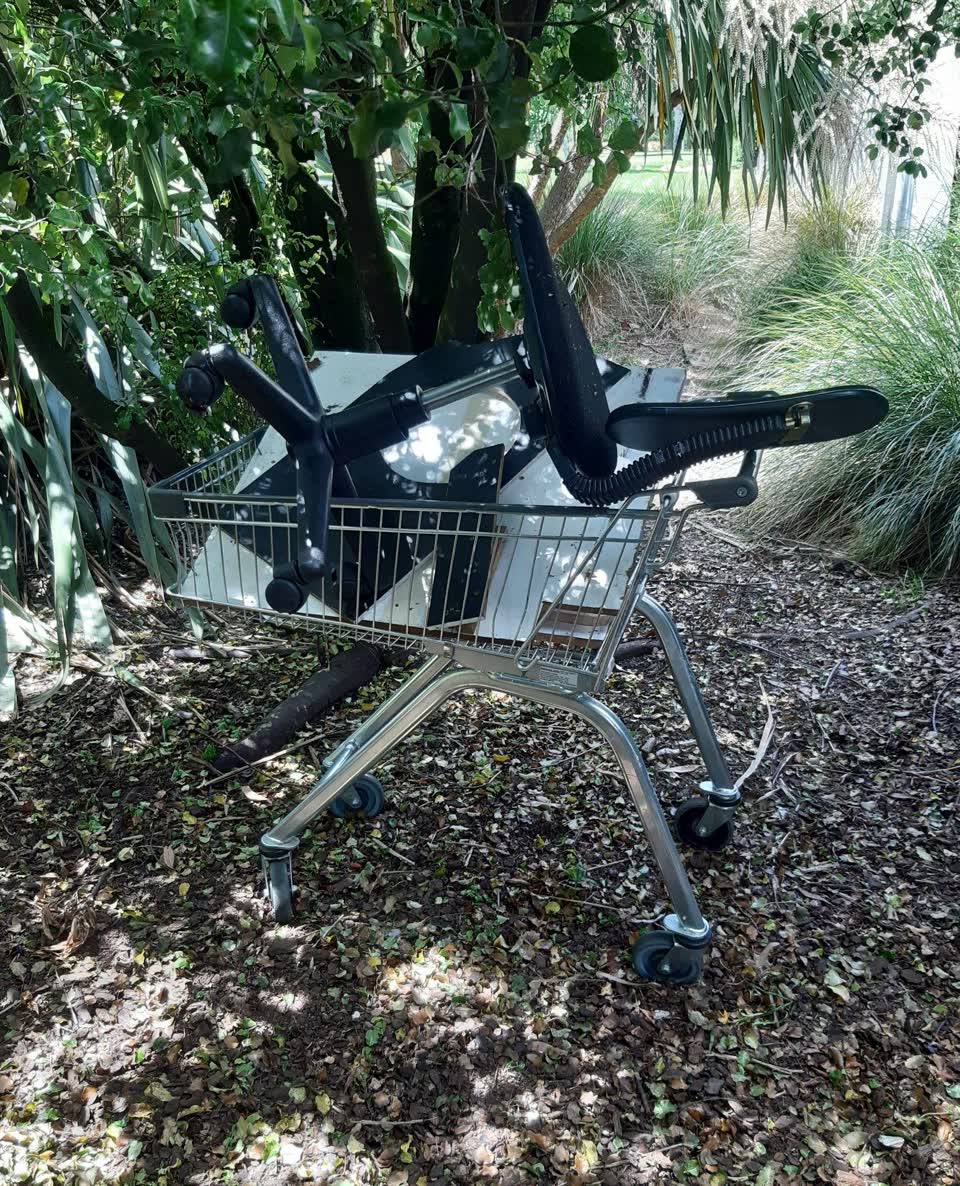 The photograph attached to this parks report