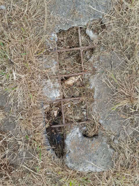 Parks, a report photo
