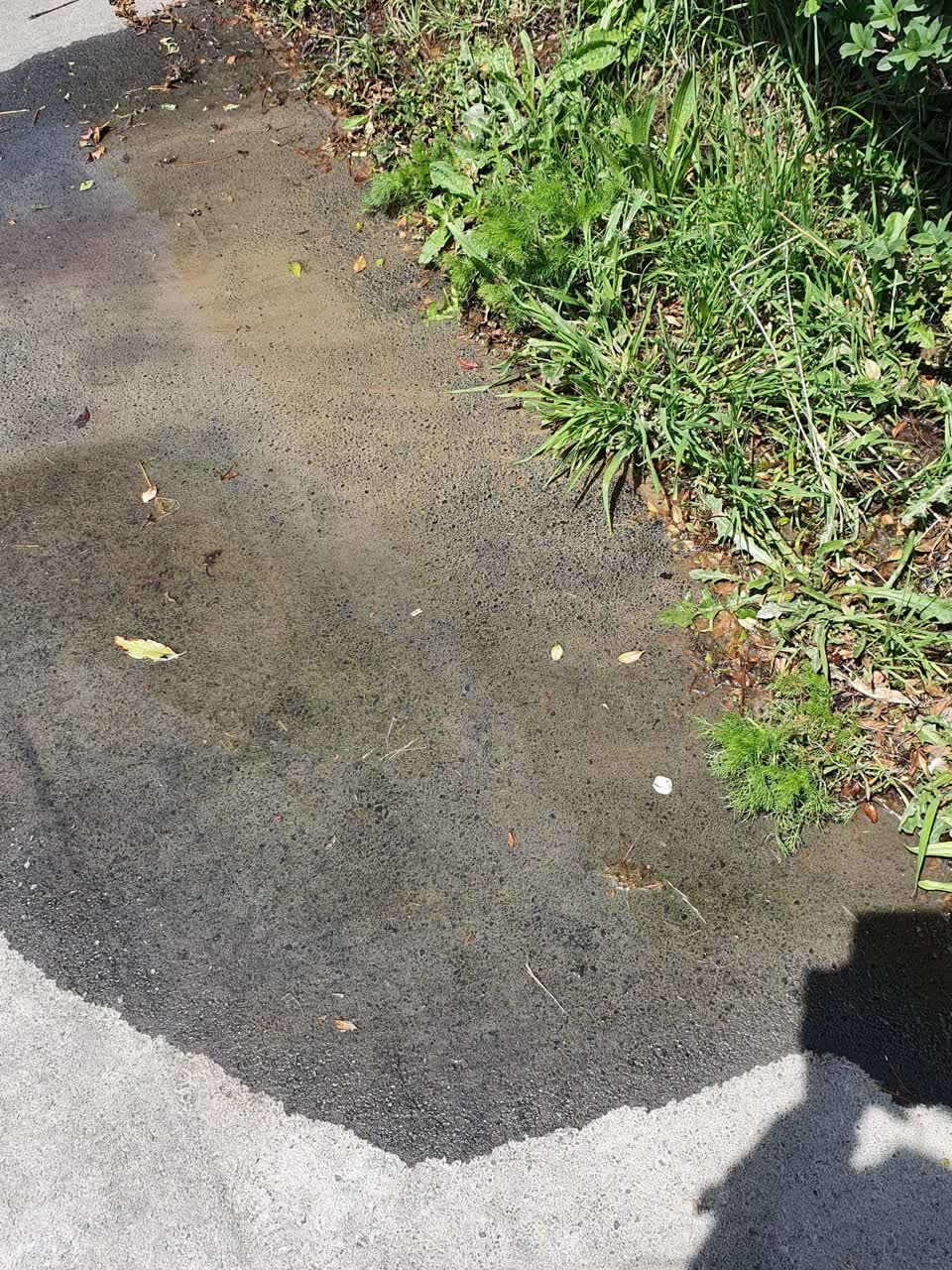 The photograph attached to this water leak report