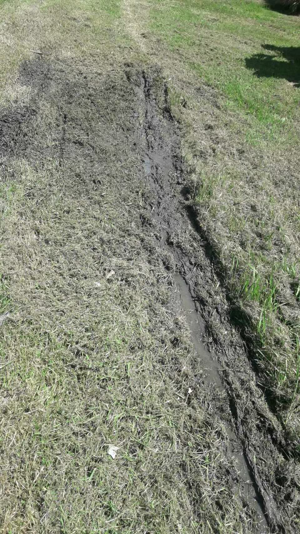 The photograph attached to this parks report