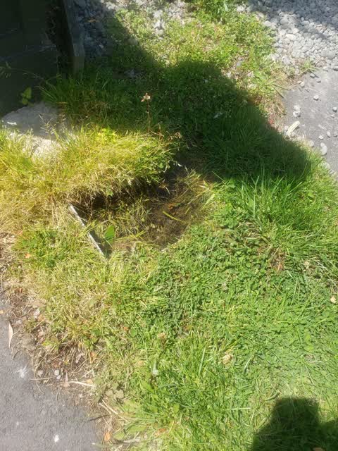 Wastewater/Stormwater, a report photo