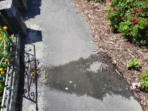 Water Leak, a report photo