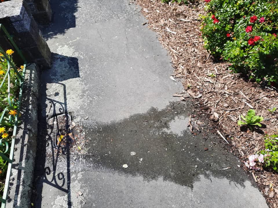 The photograph attached to this water leak report