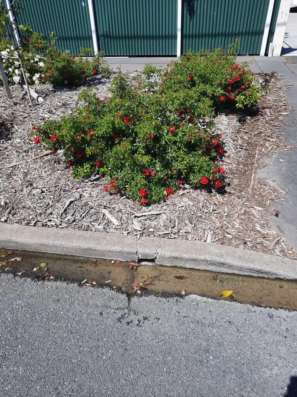 The photograph attached to this water supply report