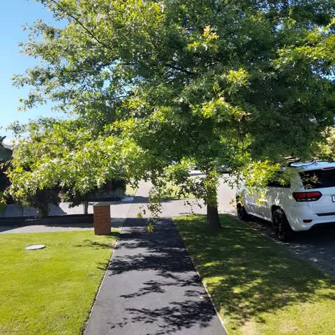 Parks, a report photo