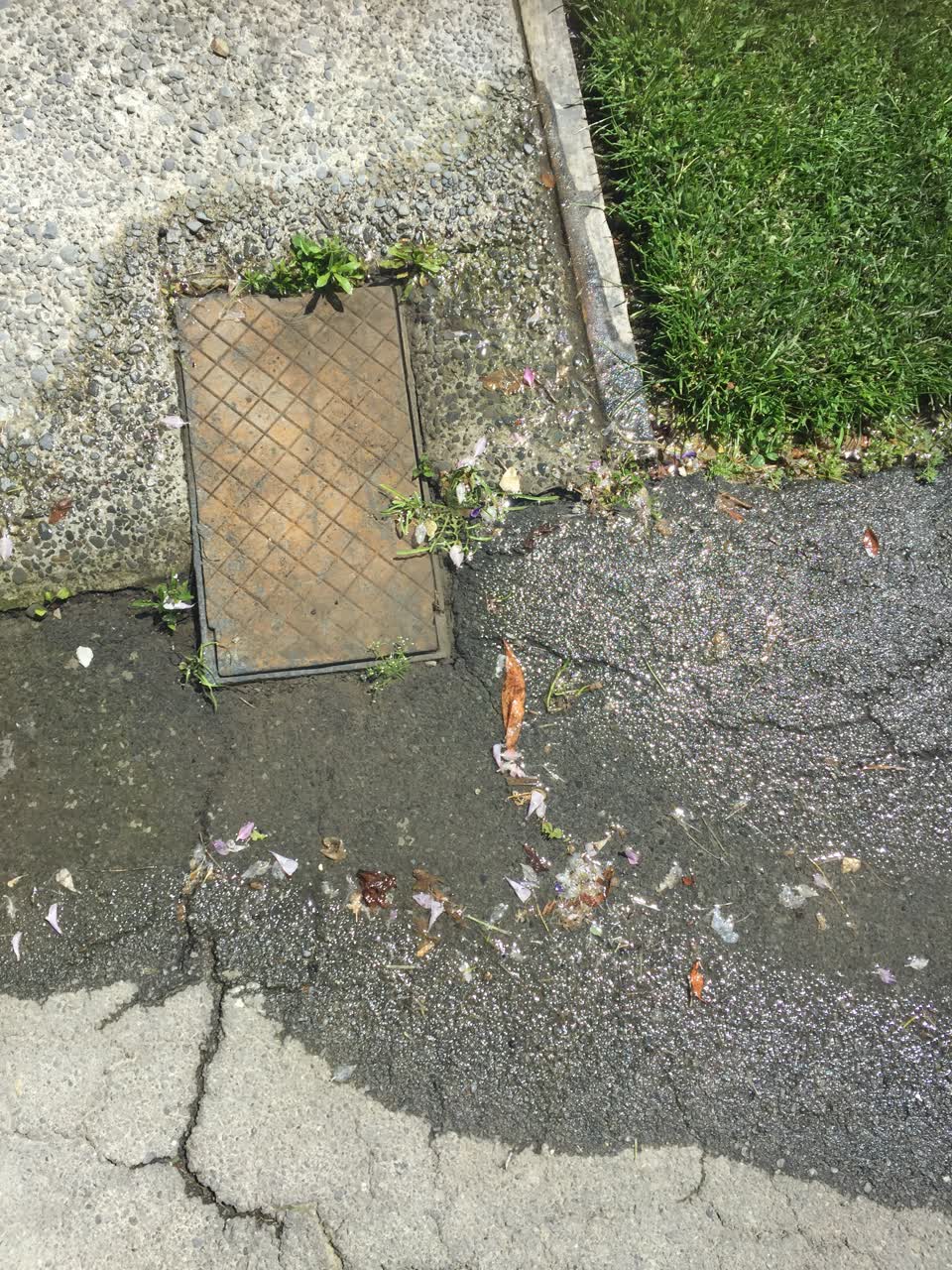 The photograph attached to this water leak report
