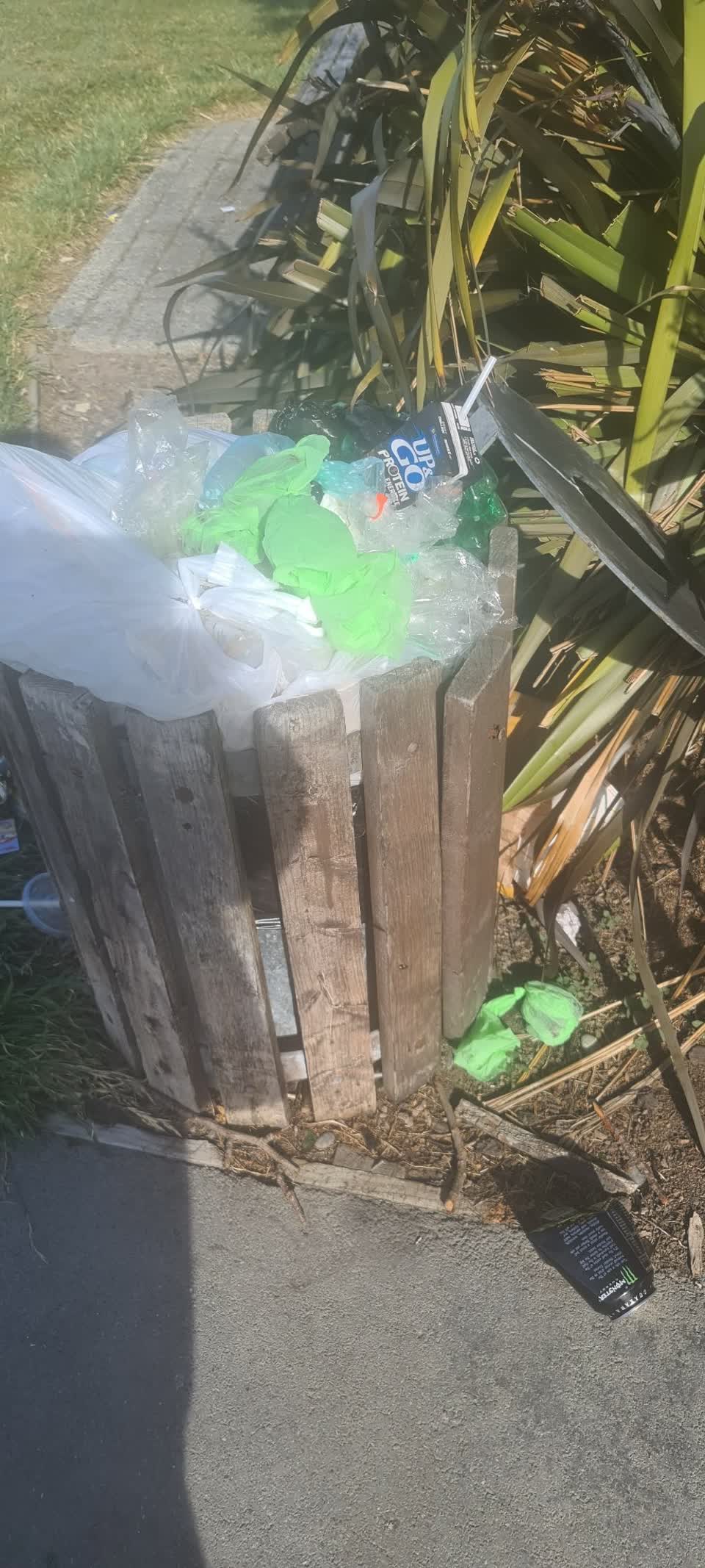 The photograph attached to this parks report