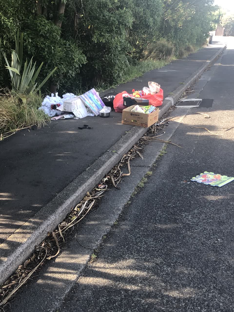 The photograph attached to this rubbish/recycling report