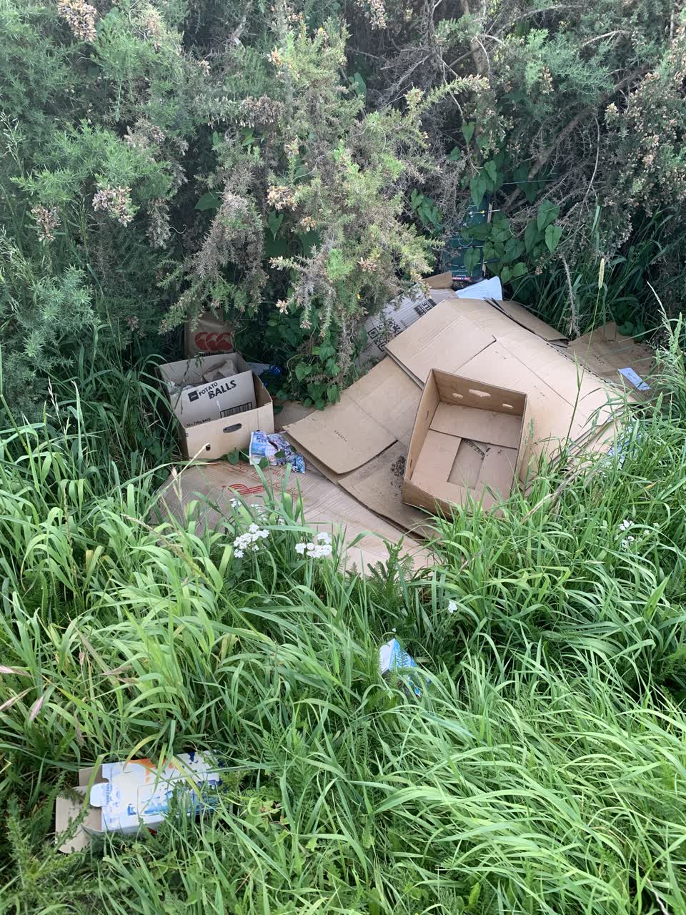 The photograph attached to this rubbish/recycling report
