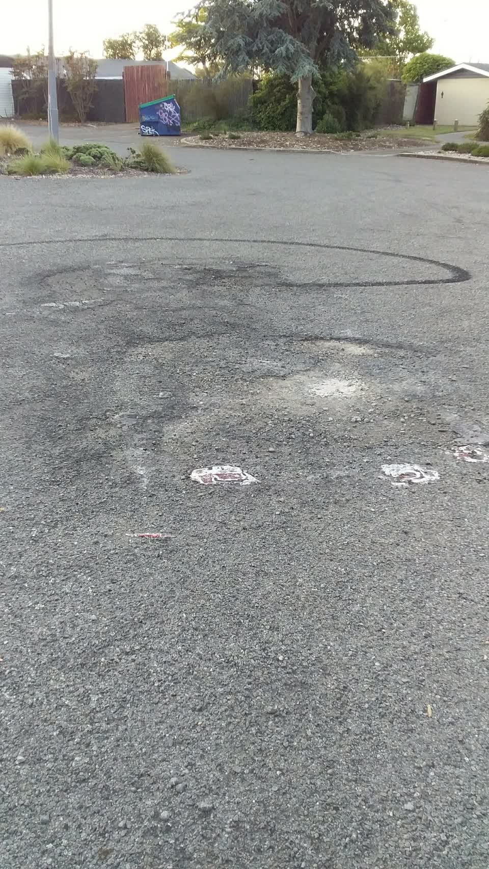 The photograph attached to this parks report