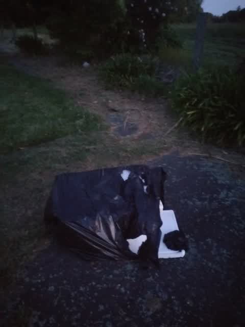 Rubbish/Recycling, a report photo