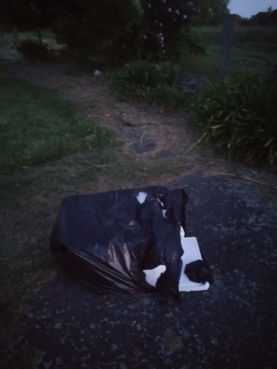 The photograph attached to this rubbish/recycling report