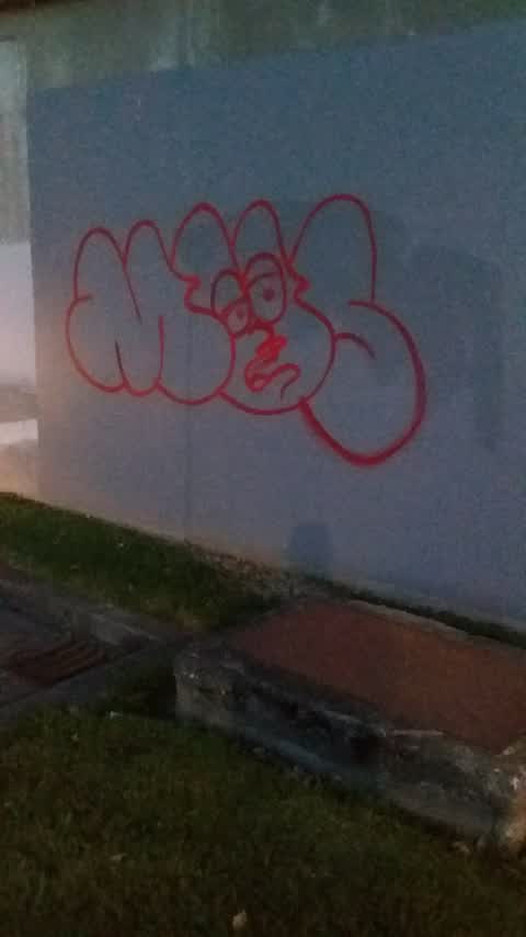Graffiti, a report photo