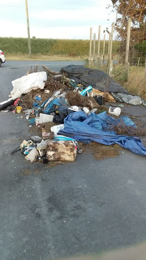 Rubbish/Recycling, a report photo