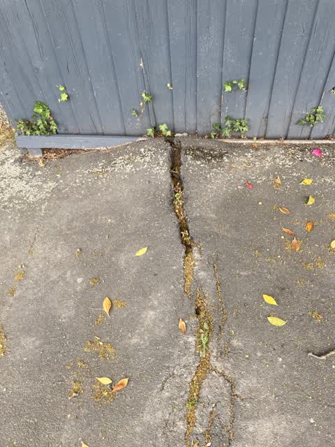 Roading/Streets, a report photo