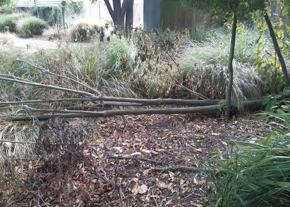 The photograph attached to this parks report