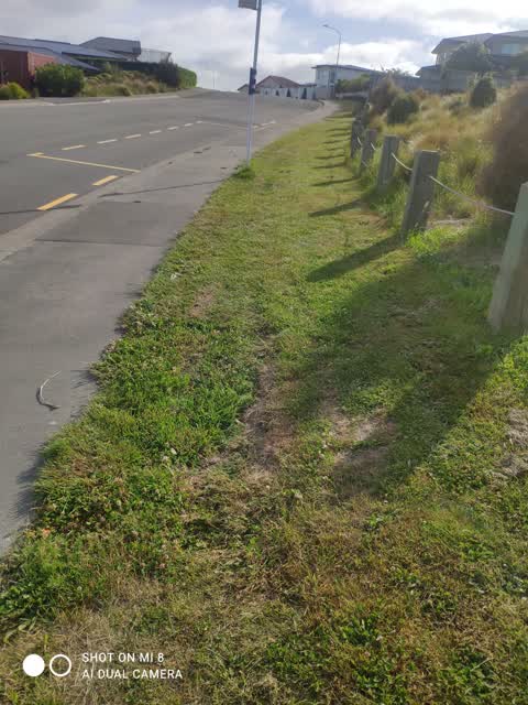 Roading/Streets, a report photo