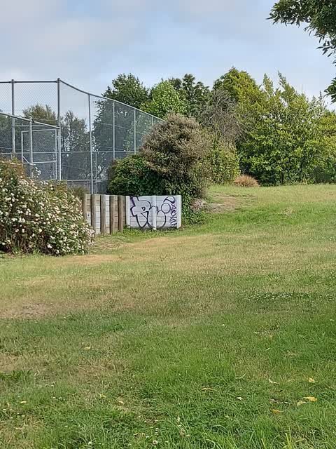 Graffiti — a report photo