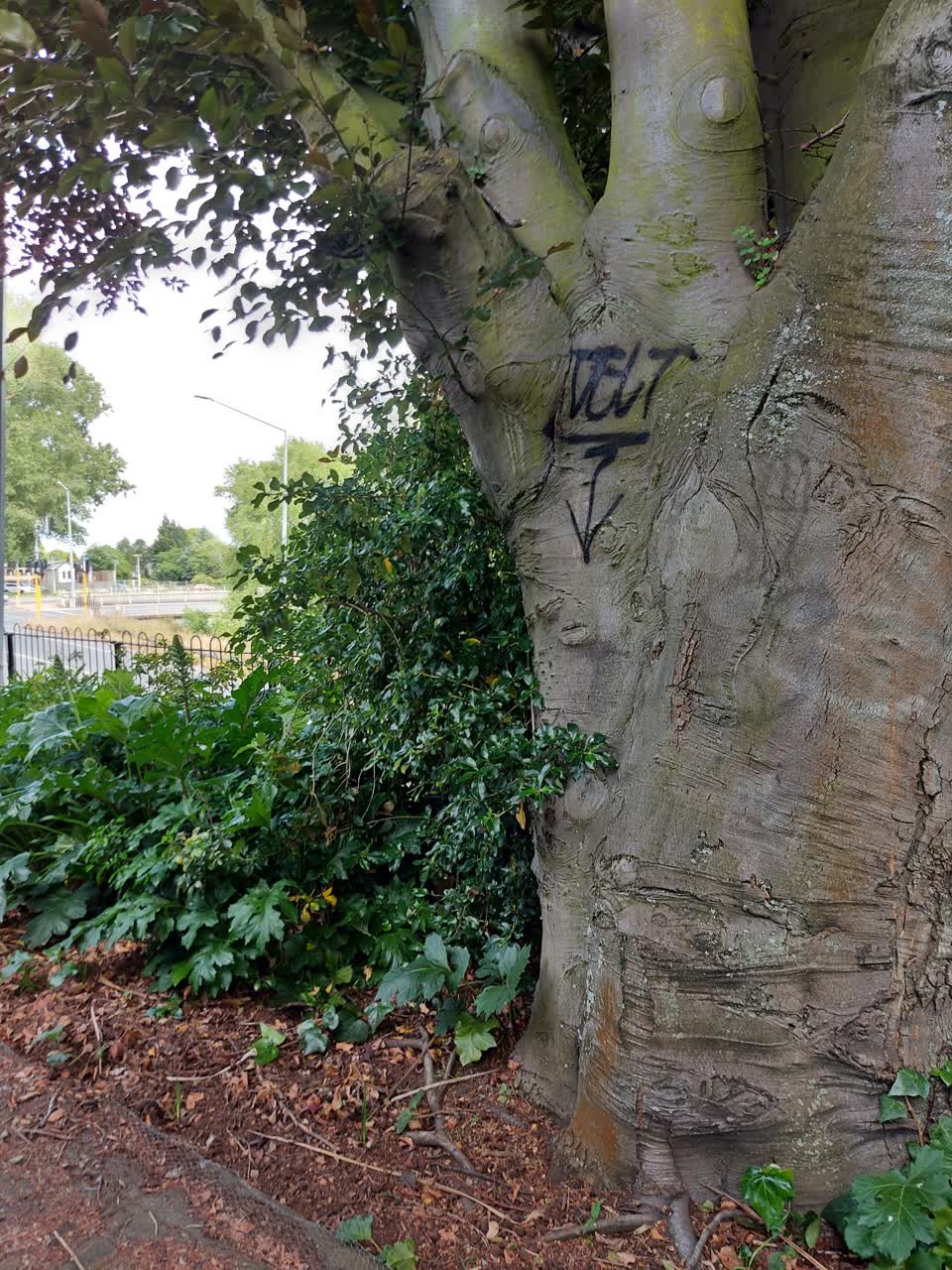 The photograph attached to this graffiti report