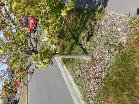 Parks, a report photo