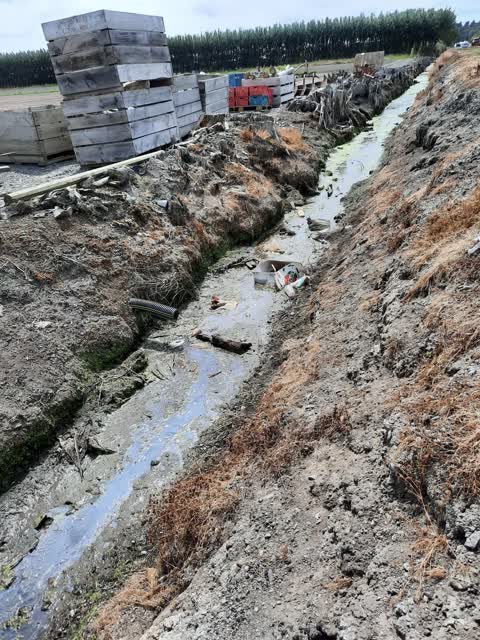 General Request, a report photo
