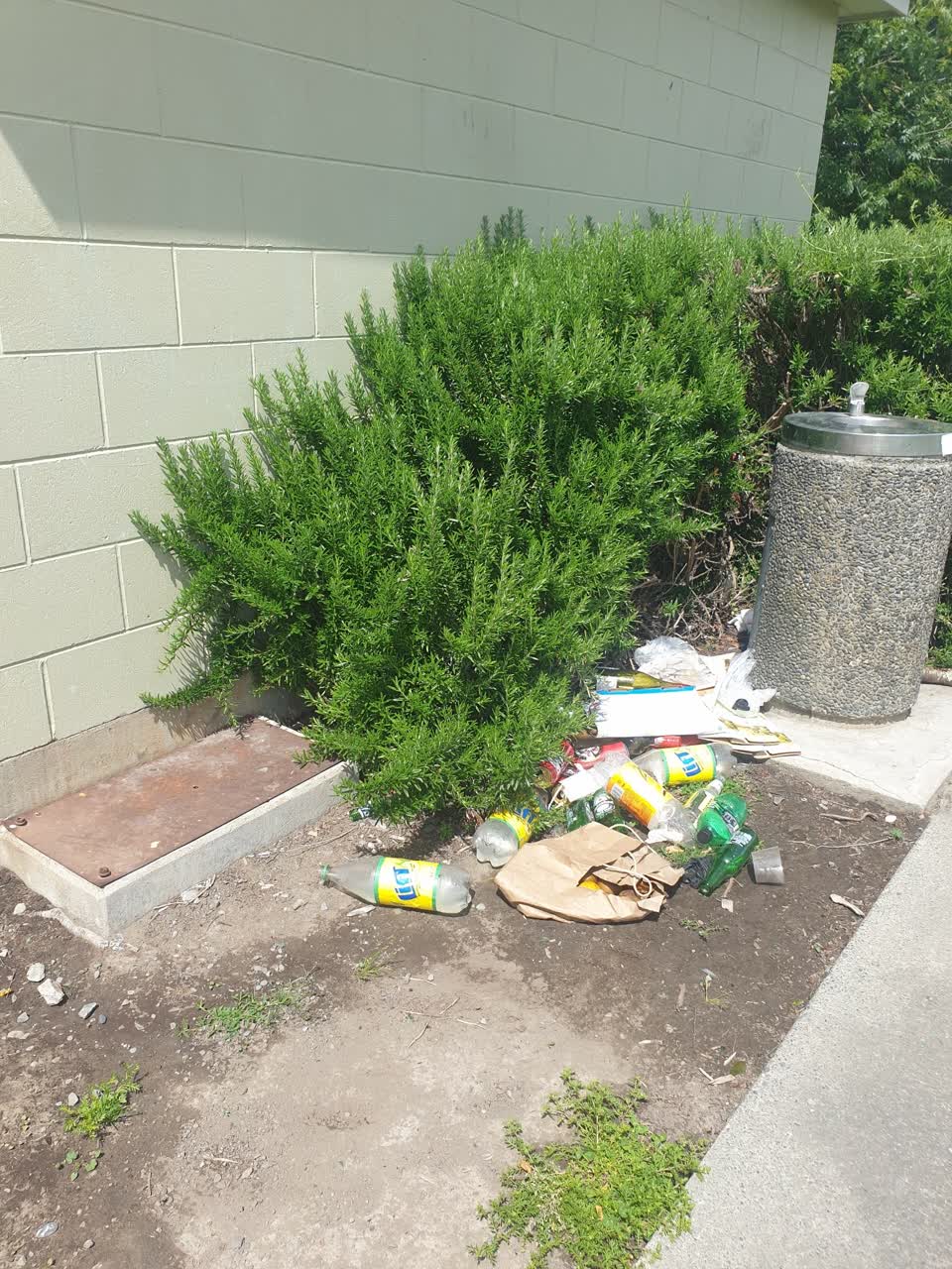 The photograph attached to this rubbish/recycling report