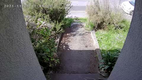 Roading/Streets, a report photo