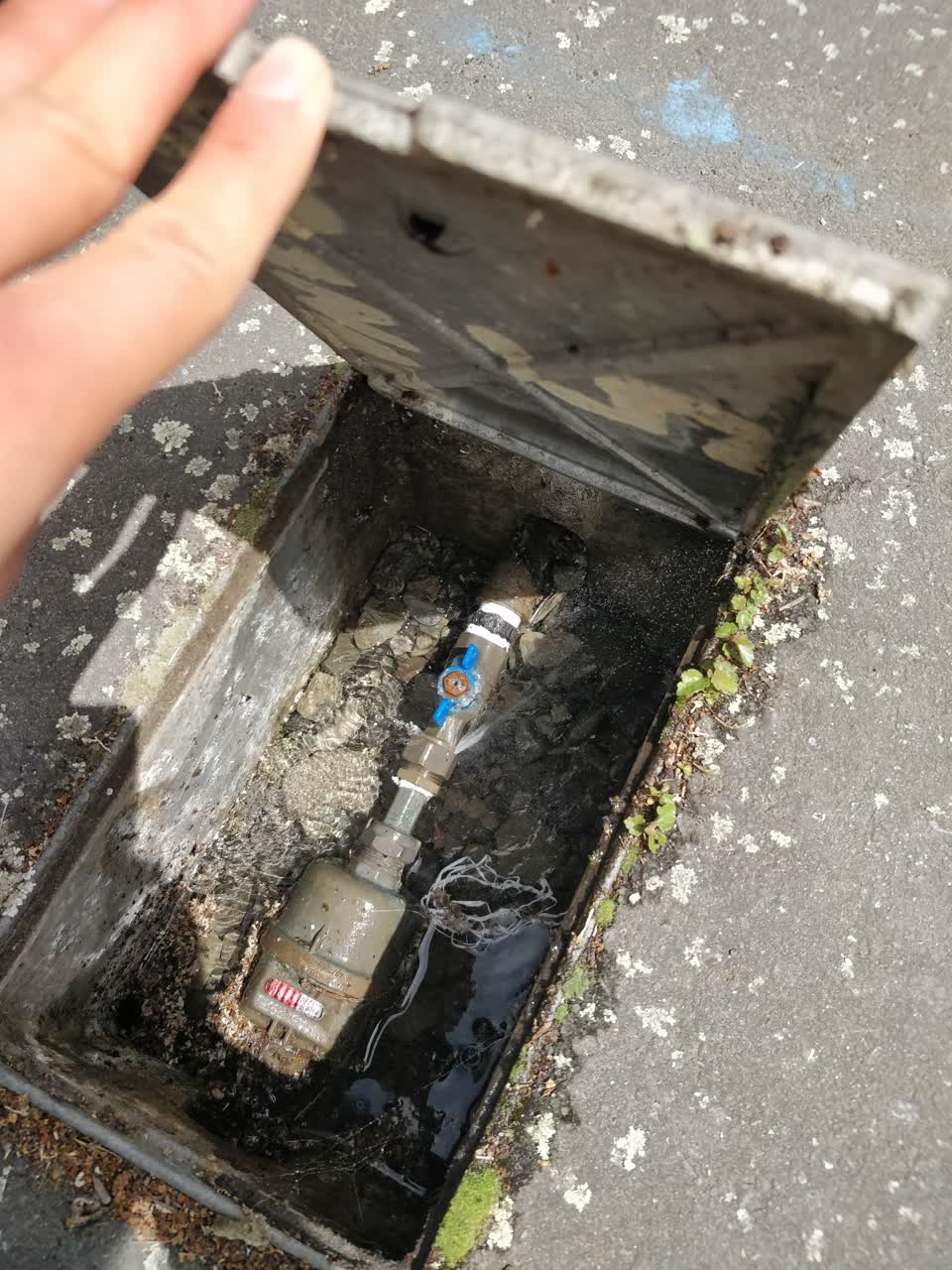 The photograph attached to this water leak report