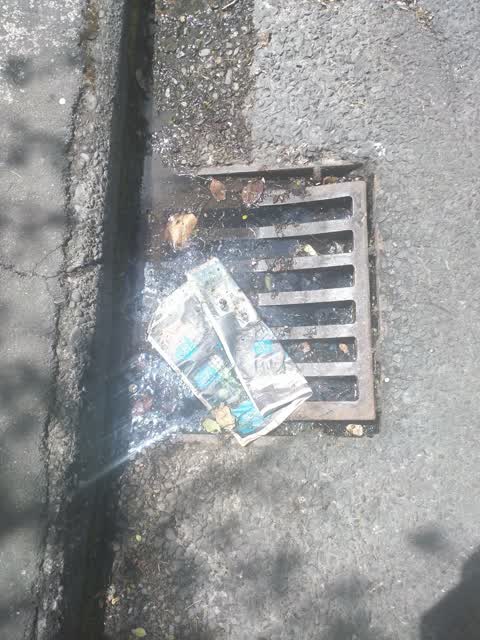 Sewer - Leak / Blockage, a report photo