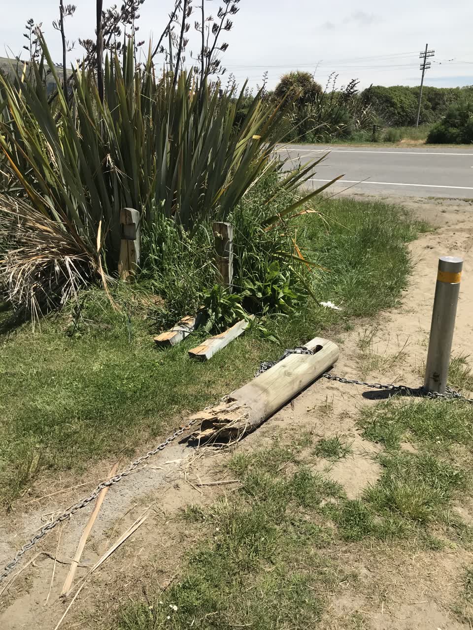 The photograph attached to this parks report