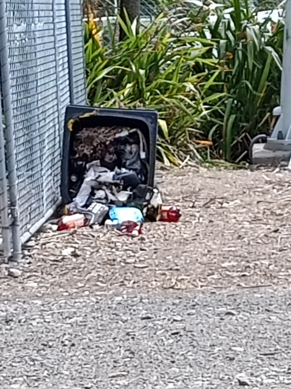 The photograph attached to this rubbish/recycling report
