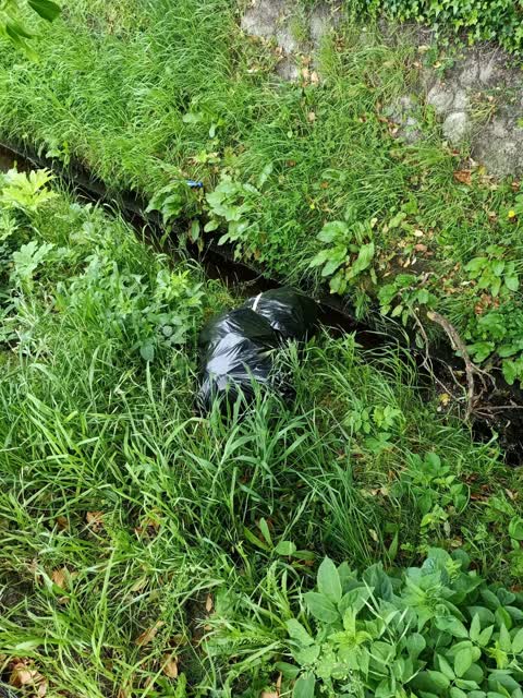 Rubbish/Recycling, a report photo