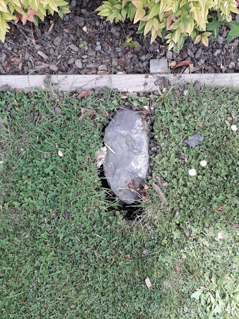 The photograph attached to this sewer - general report