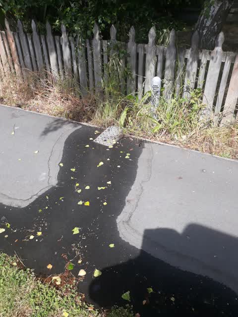 Water Leak, a report photo