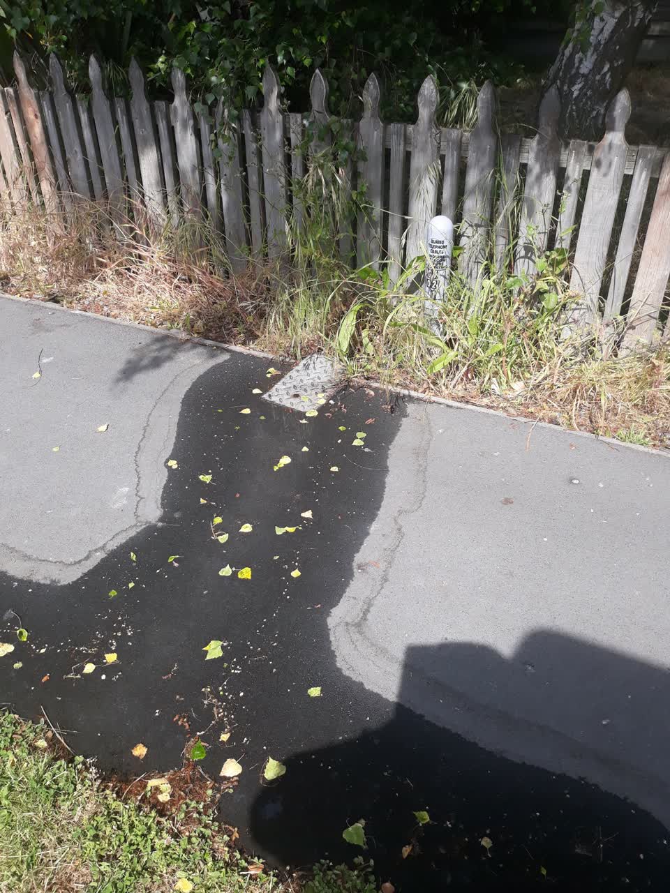 The photograph attached to this water leak report