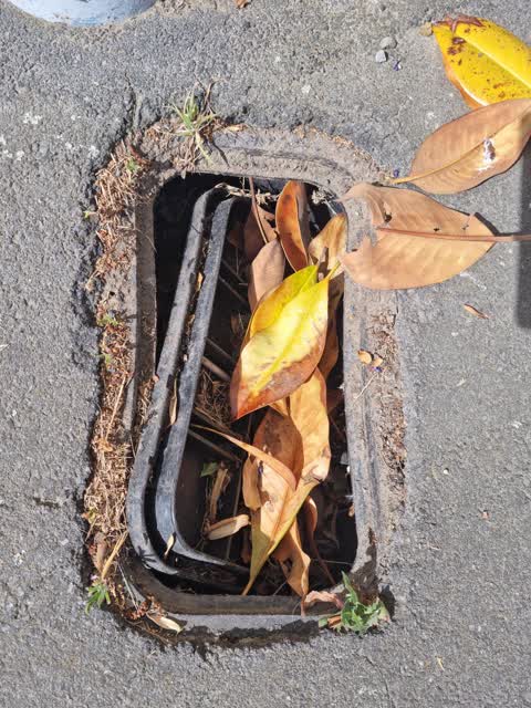 Roading/Streets, a report photo