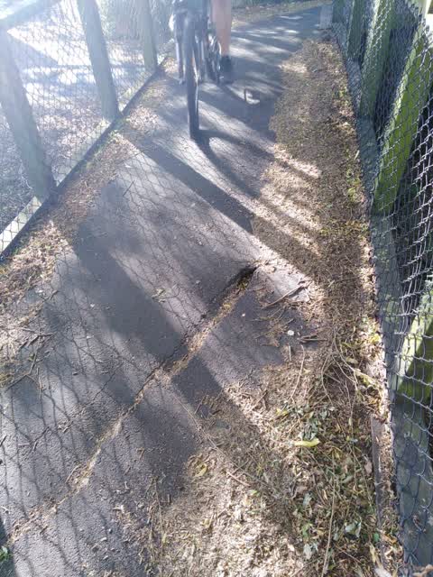 Roading/Streets — a report photo