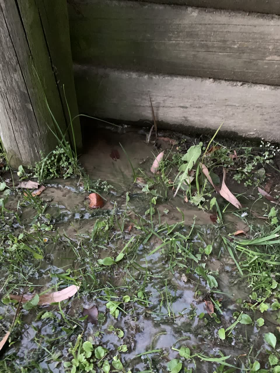 The photograph attached to this water leak report