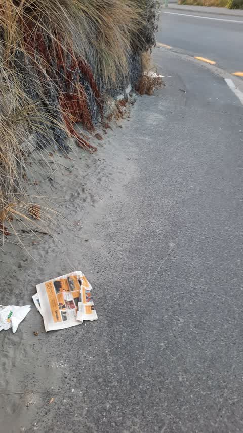 Parks, a report photo