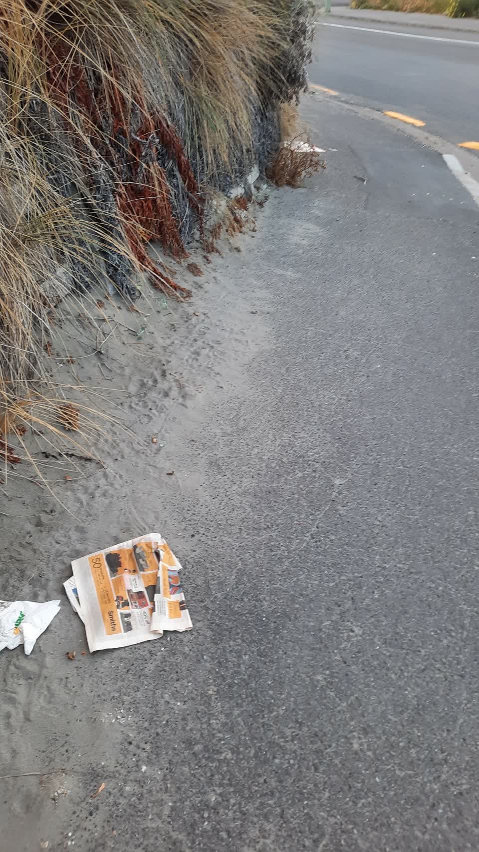 The photograph attached to this parks report