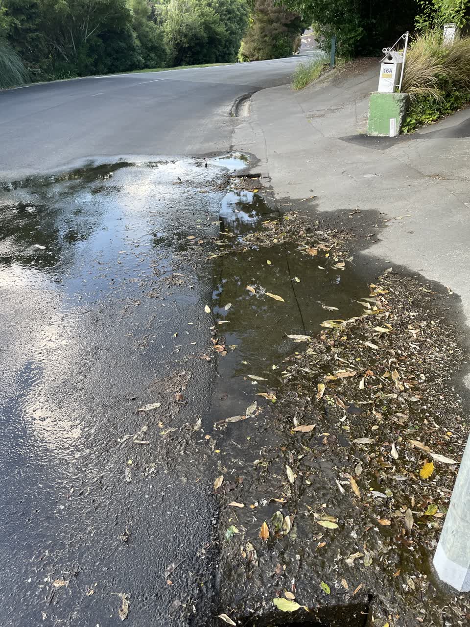 The photograph attached to this water leak report